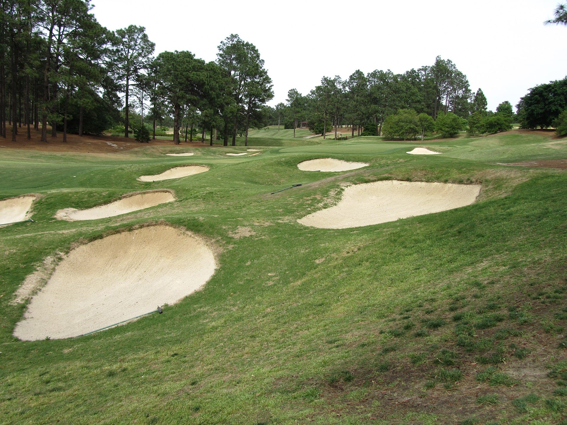 Pinehurst No. 4 bunkers, fairway, and green with pine backdrop