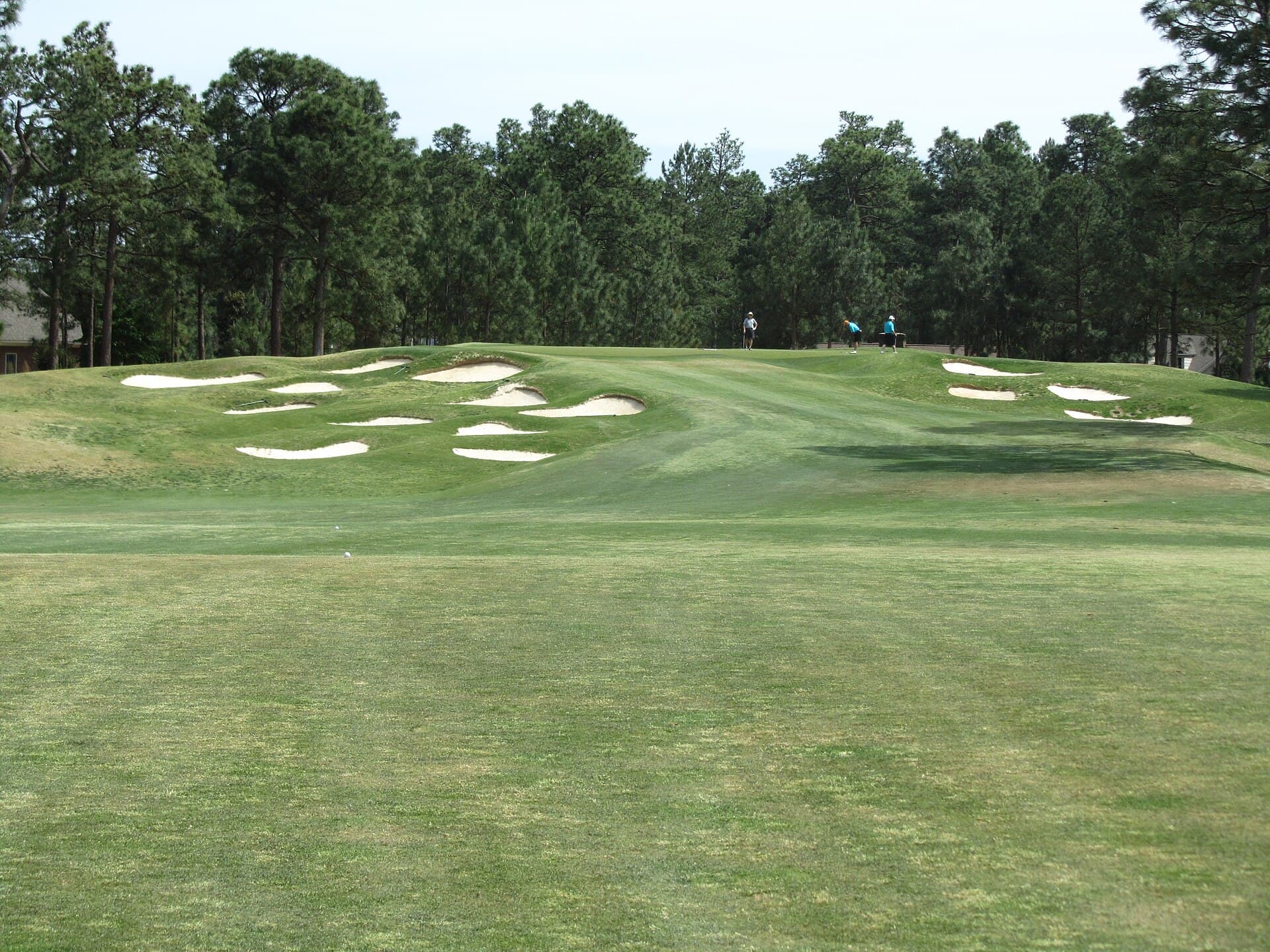 Pinehurst No. 4 golf course fairway
