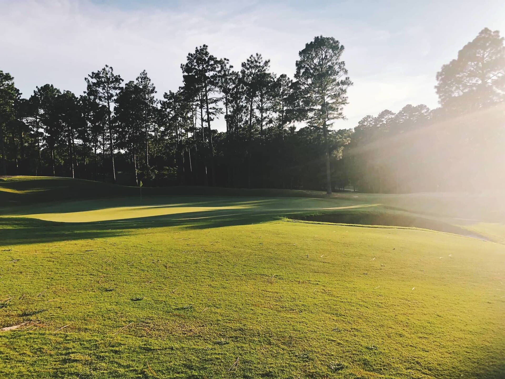 Golden-hour green and pines at a Pinehurst, North Carolina golf course